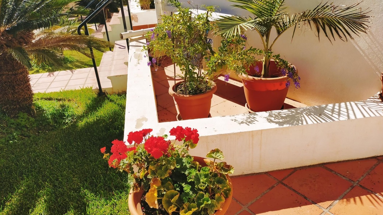 Photo of Outdoor in Nerja