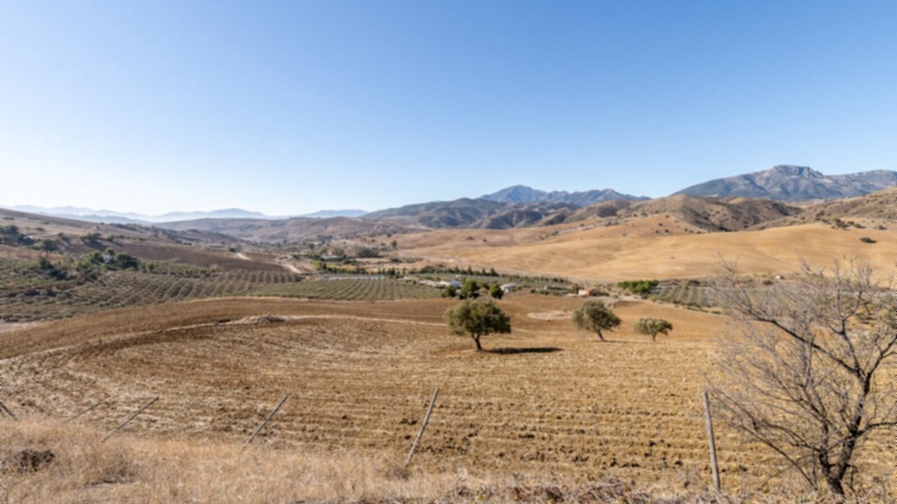 Photo of Others in Casarabonela