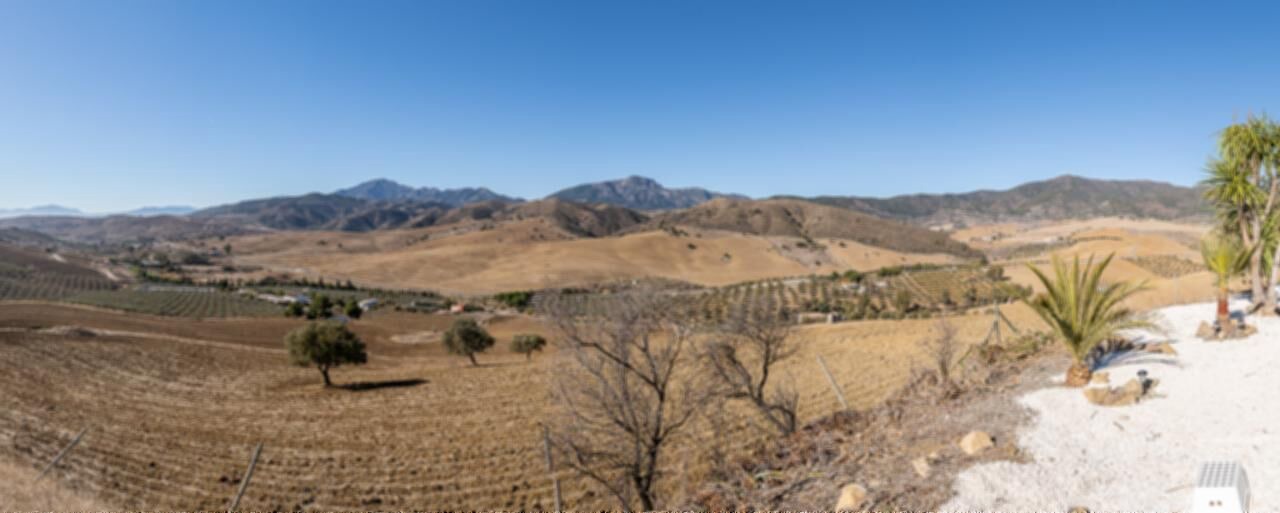 Photo of Others in Casarabonela