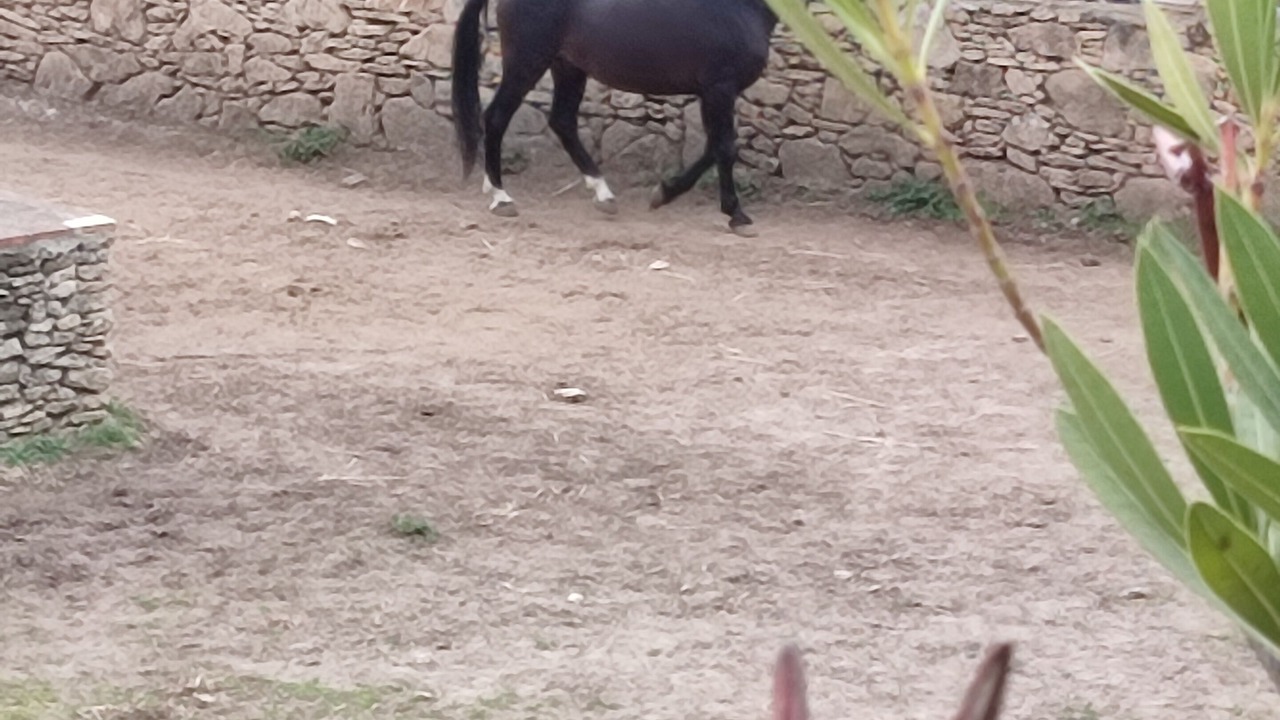 Photo of Outdoor in Ronda