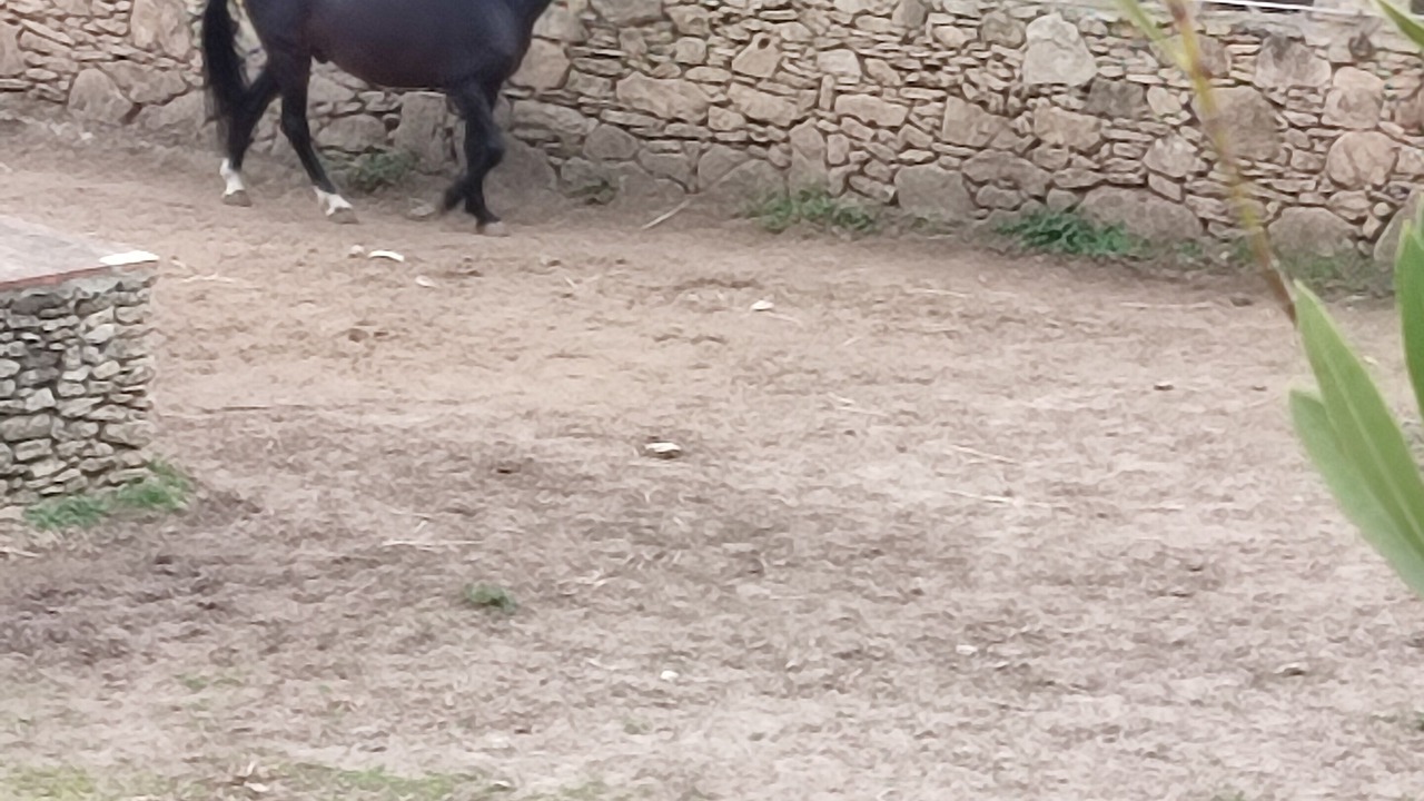 Photo of Outdoor in Ronda