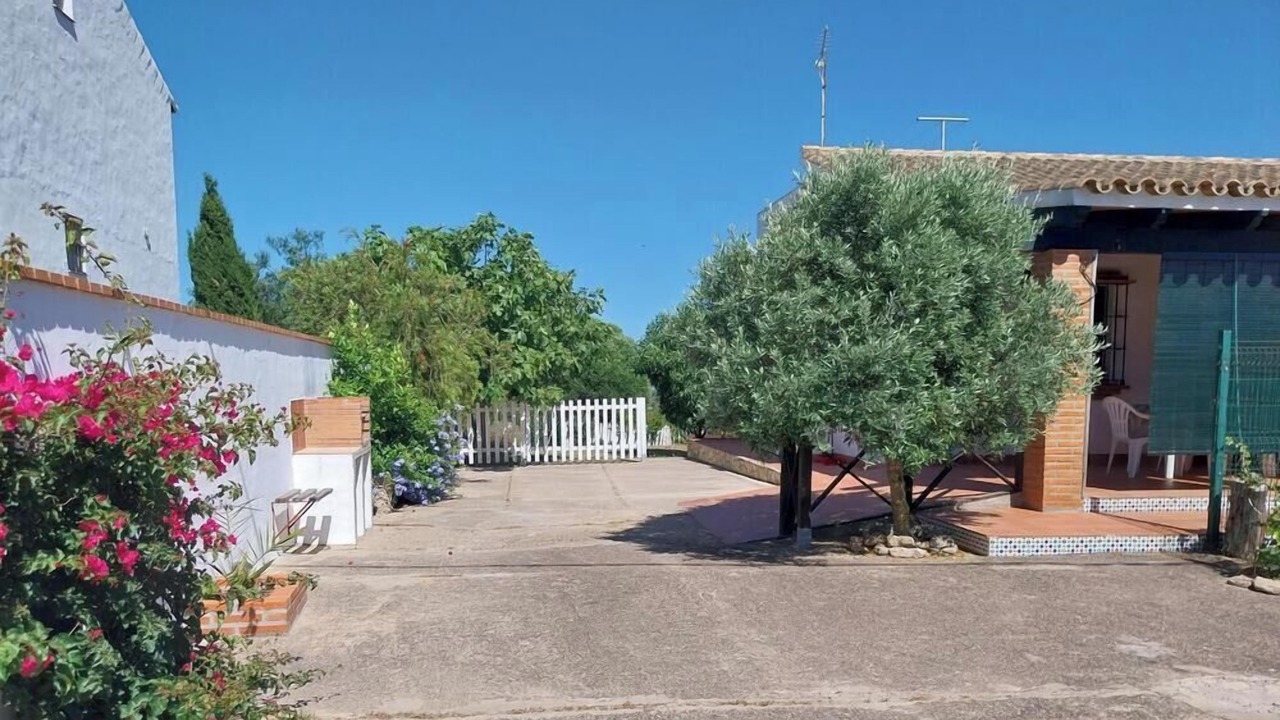 Photo of Outdoor in Conil de la Frontera