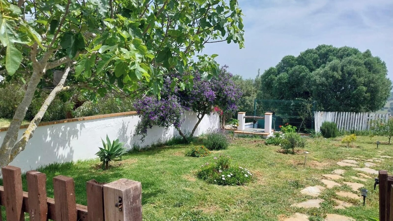 Photo of Outdoor in Conil de la Frontera