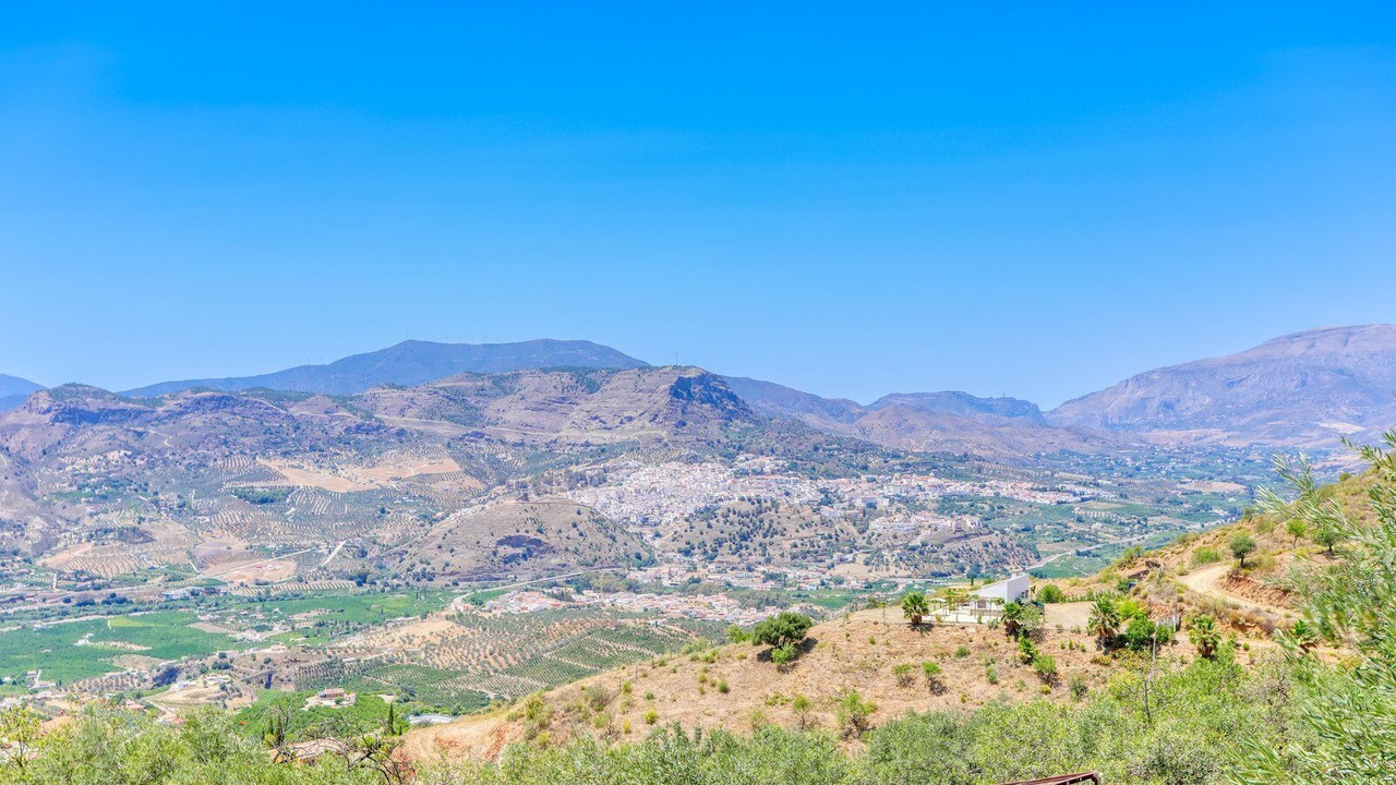 Photo of Others in Alora