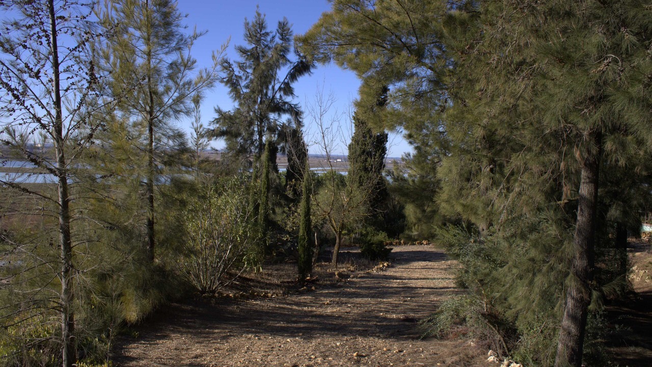 Photo of Outdoor in Moguer