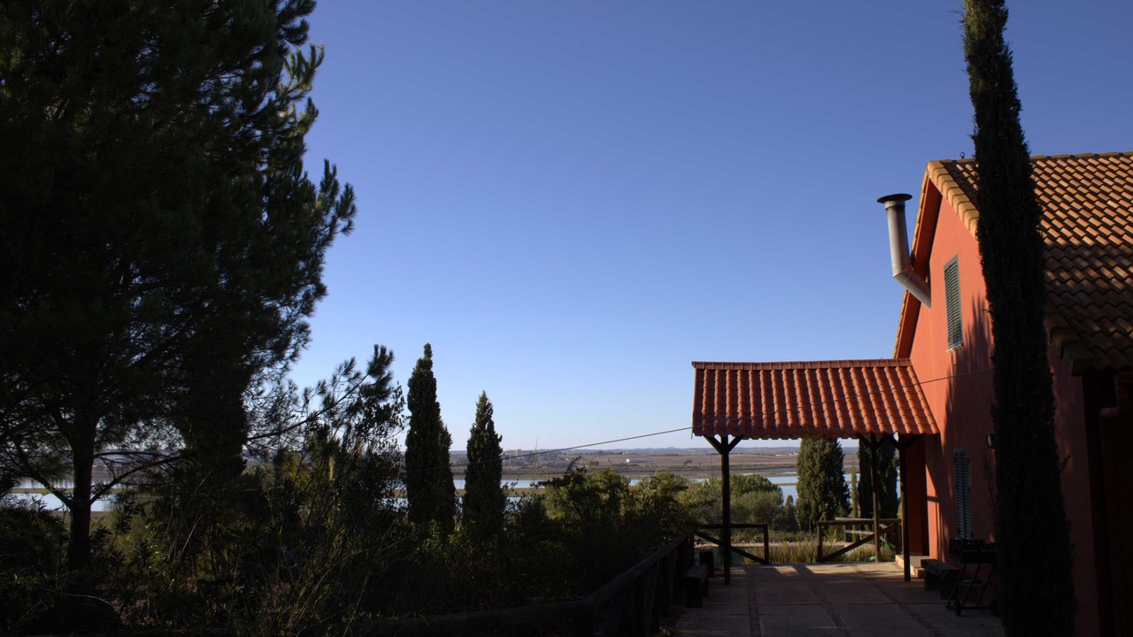 Photo of Outdoor in Moguer