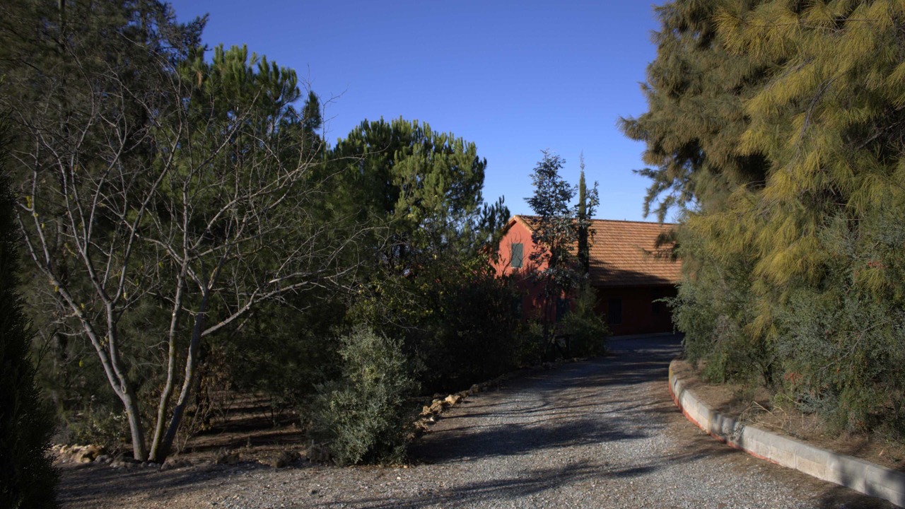 Photo of Outdoor in Moguer