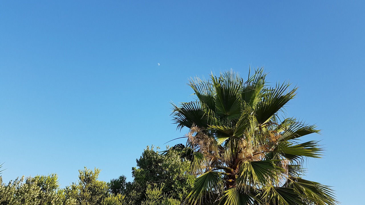 Photo of Others in Chiclana de la Frontera