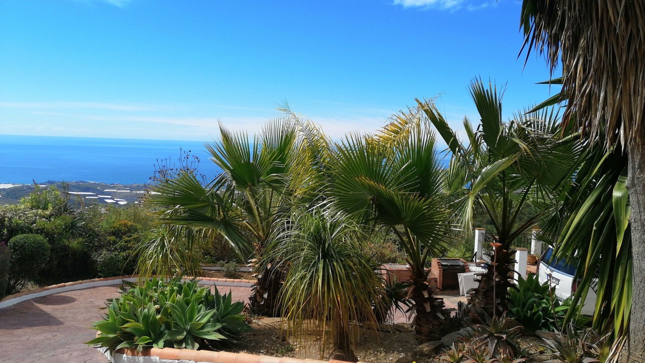 Photo of Outdoor in Sayalonga
