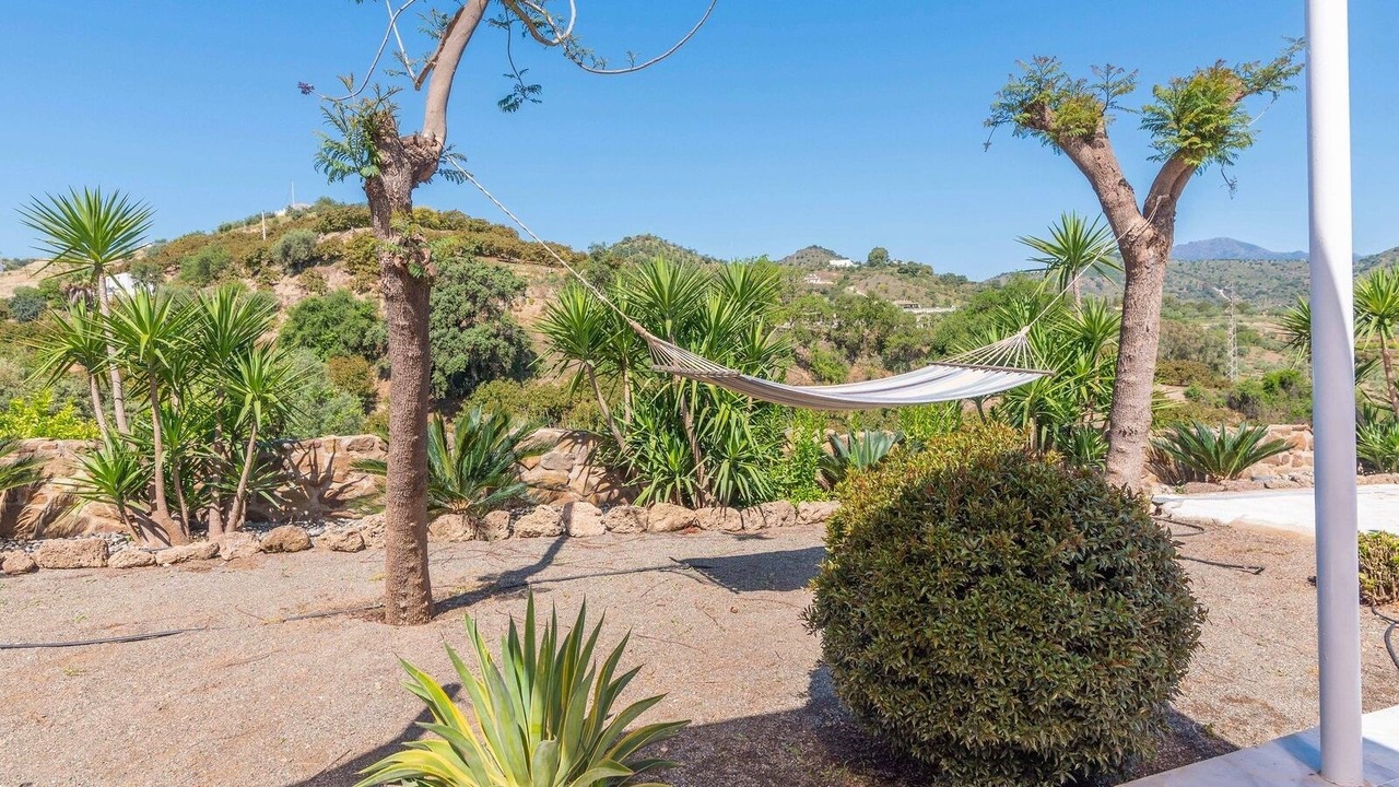 Photo of Outdoor in Coin