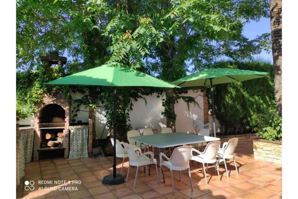 Photo of Outdoor in Brazatortas