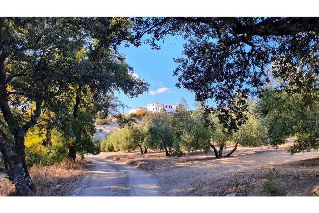 Photo of Outdoor in Las Lagunillas