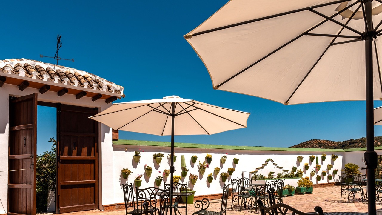 Photo of Outdoor in Las Lagunillas