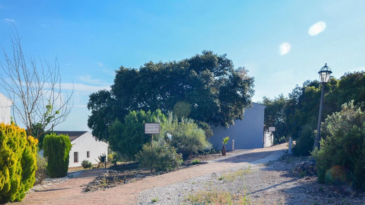 Photo of Others in Estepa