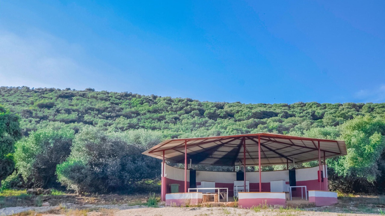Photo of Others in Estepa
