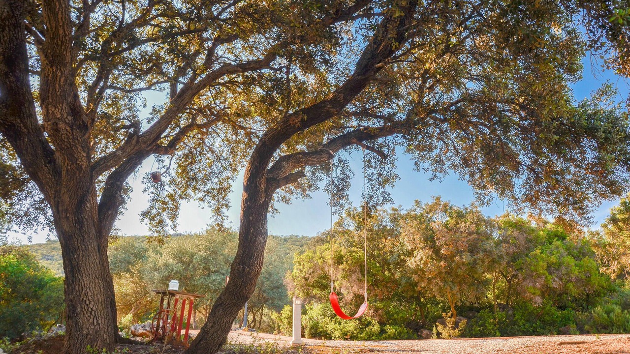 Photo of Others in Estepa