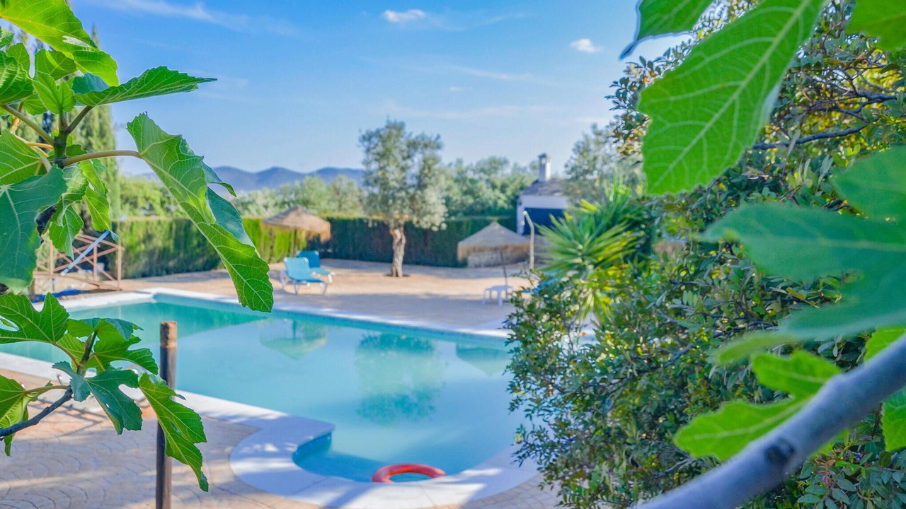 Photo of Outdoor in Estepa