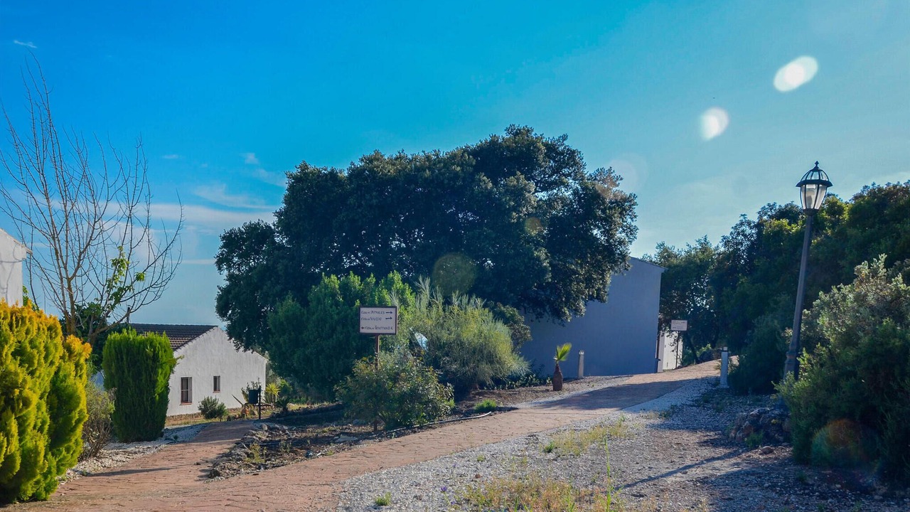 Photo of Others in Estepa