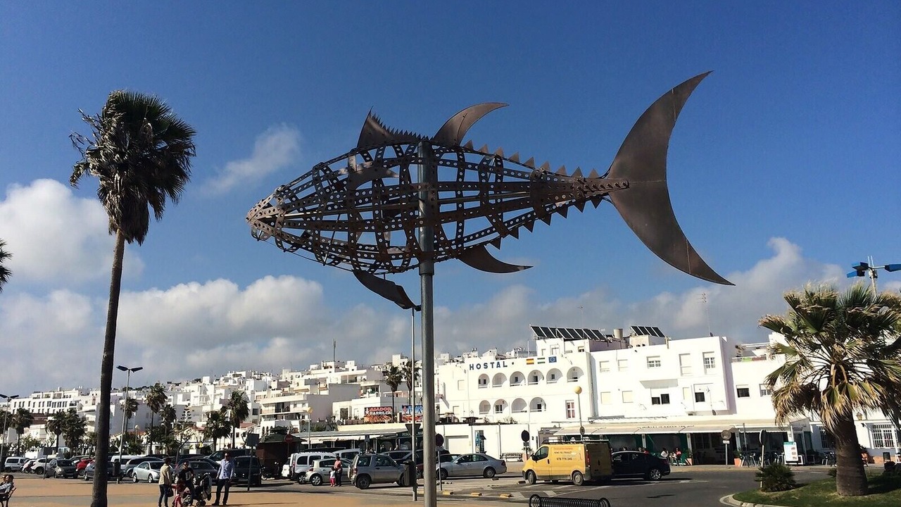 Photo of Others in Conil de la Frontera