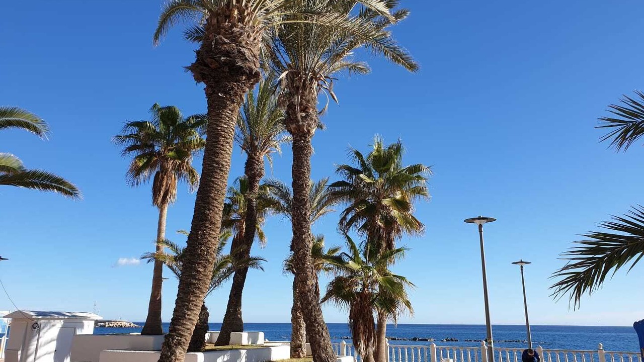 Photo of Outdoor in Garrucha