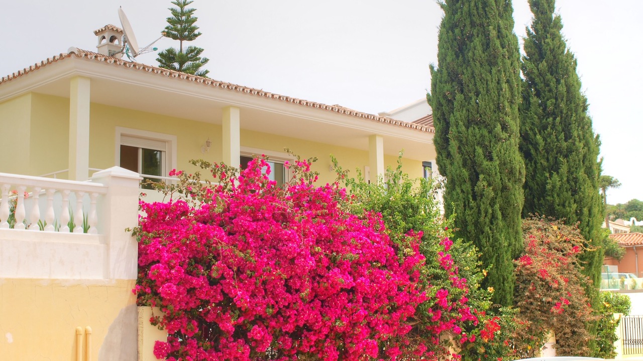 Photo of Outdoor in Estepona