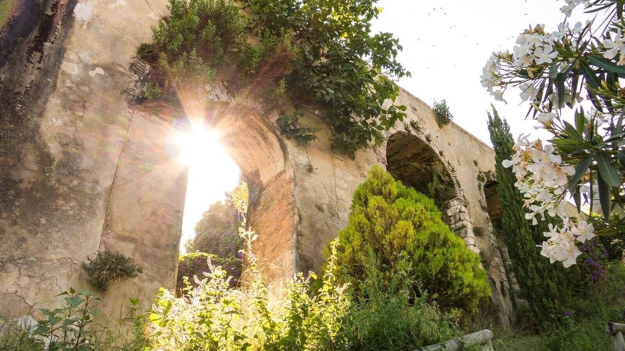 Photo of Others in San Ambrosio