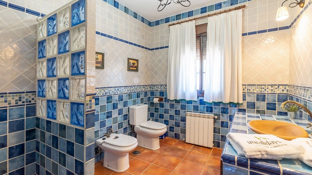 Photo of Bathroom in Valle de Abdalagis