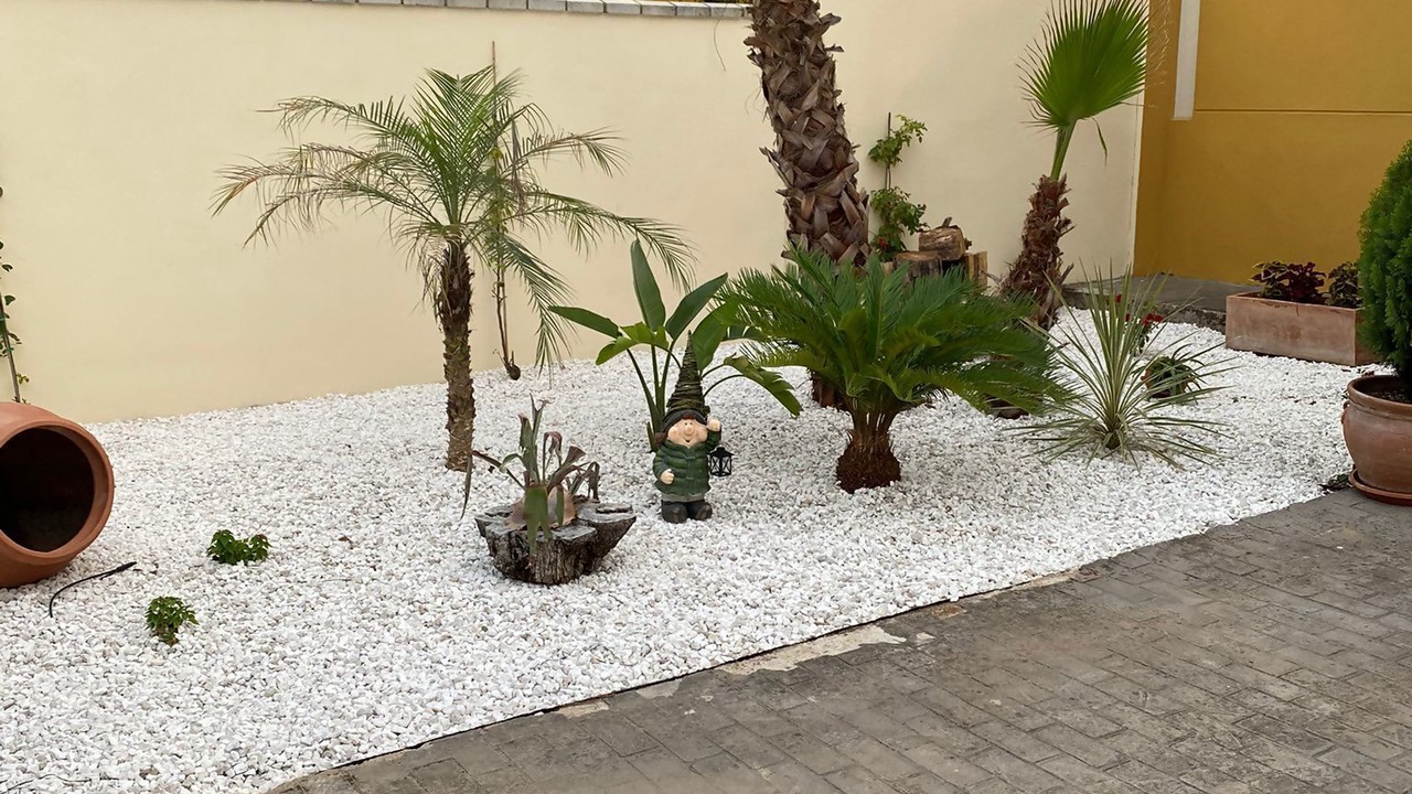 Photo of Outdoor in Las Jaras