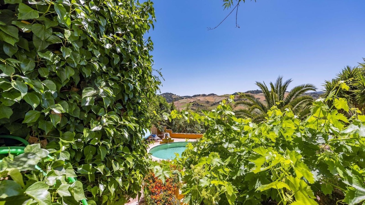 Photo of Outdoor in Montecorto