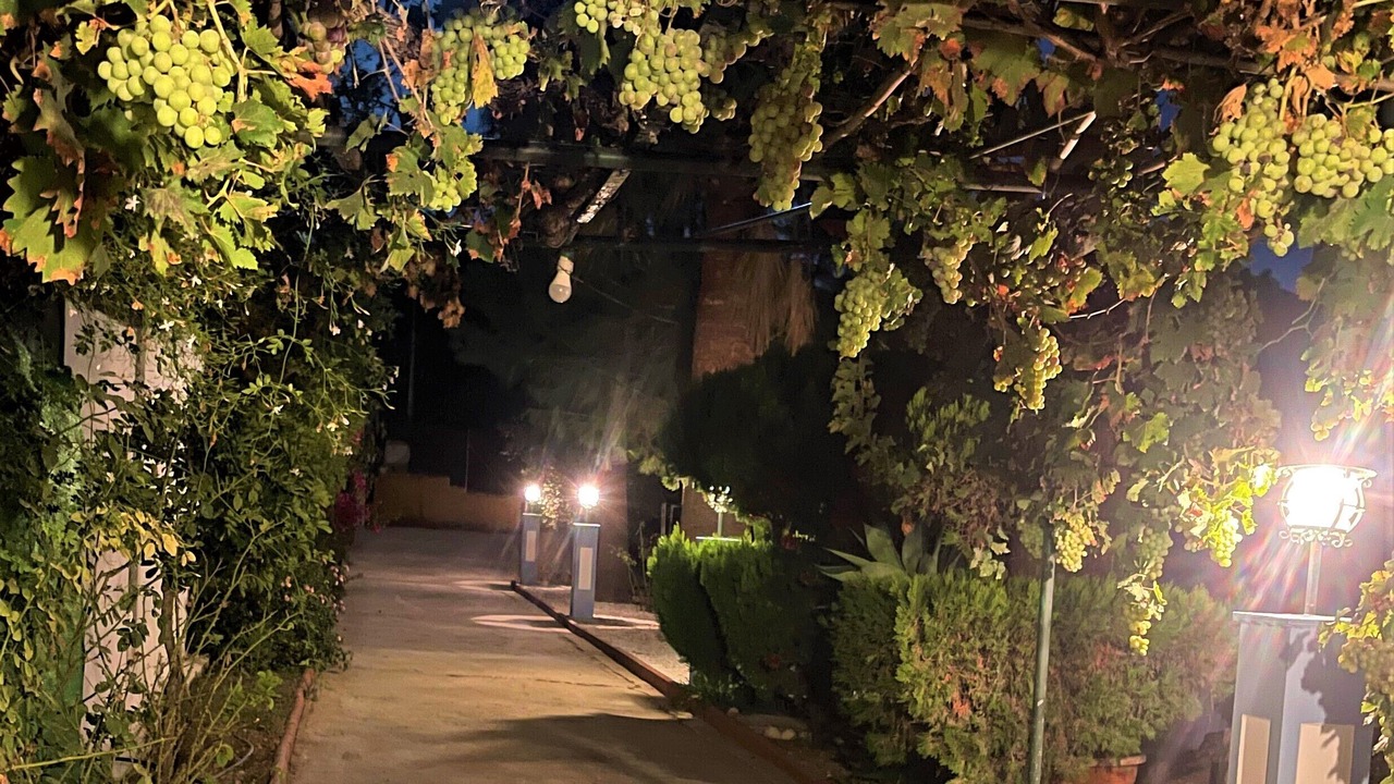 Photo of Outdoor in Cartama