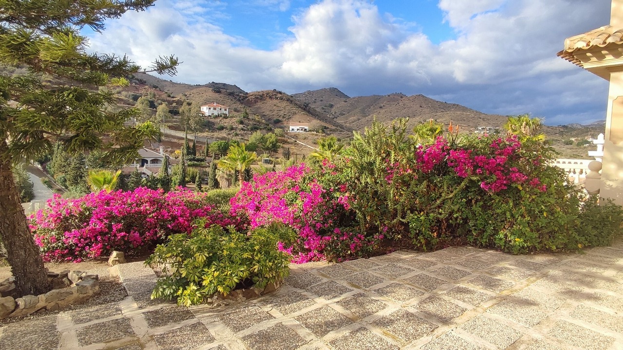 Photo of Outdoor in Almogia