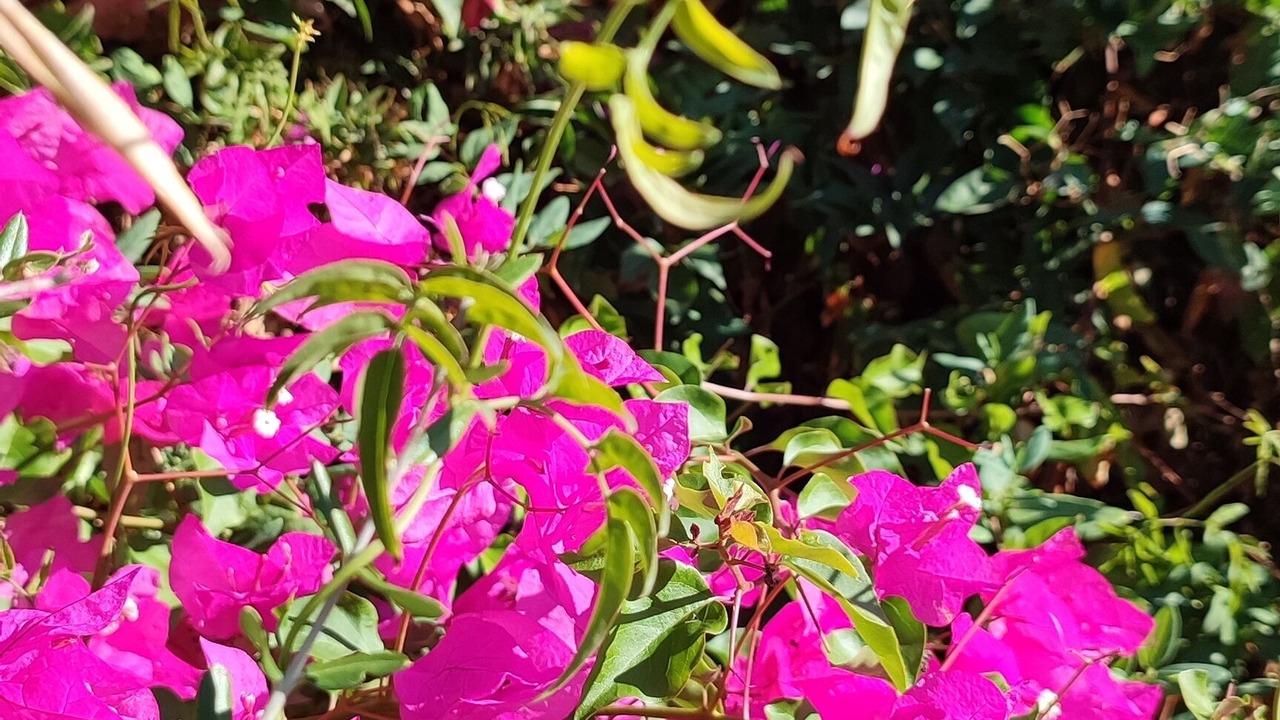 Photo of Outdoor in Almogia