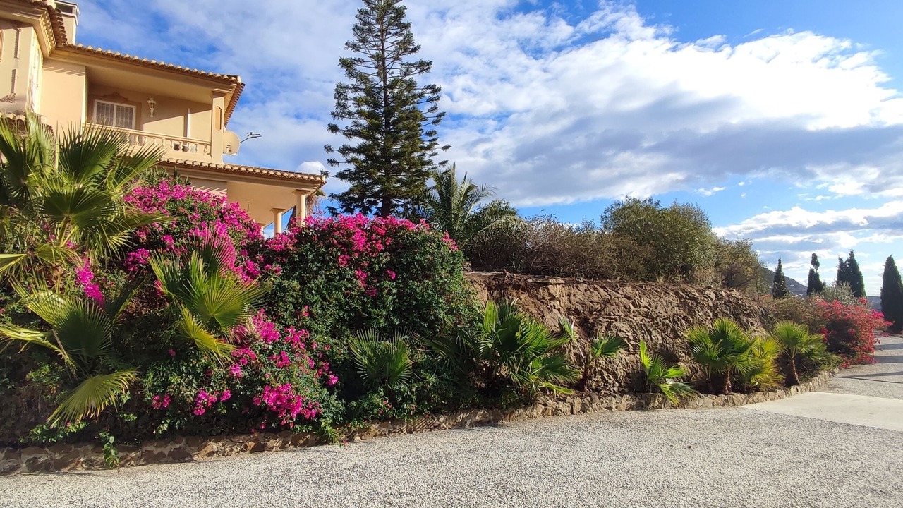 Photo of Outdoor in Almogia