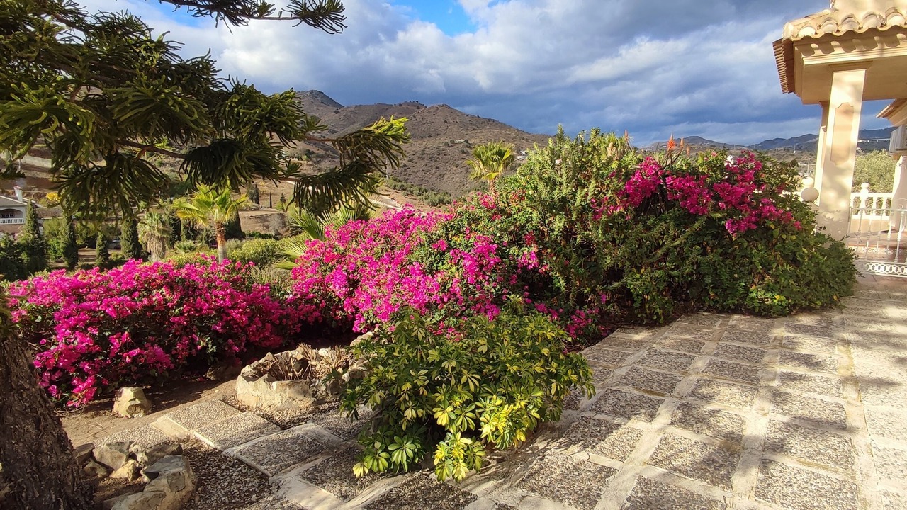 Photo of Outdoor in Almogia