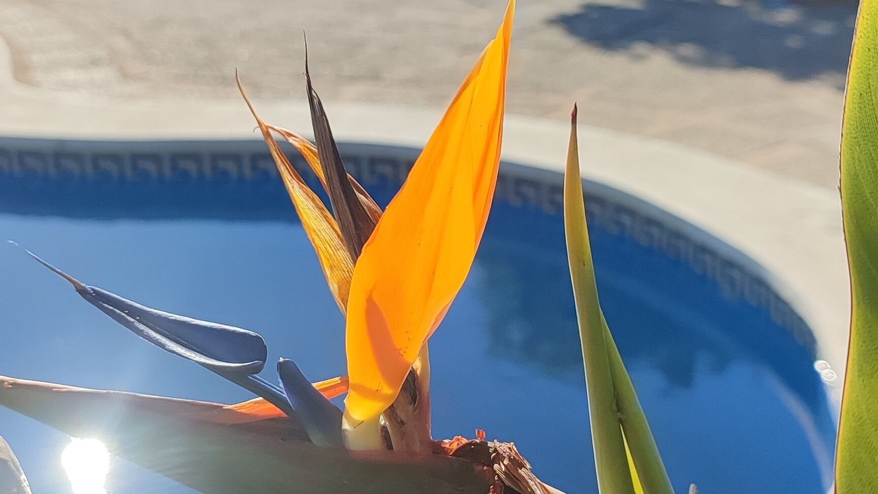 Photo of Outdoor in Almogia