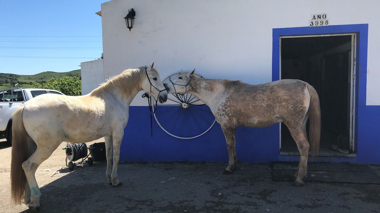 Photo of Outdoor in Tarifa