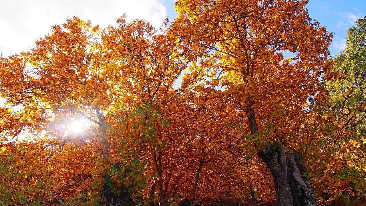 Photo of Outdoor in Benadalid
