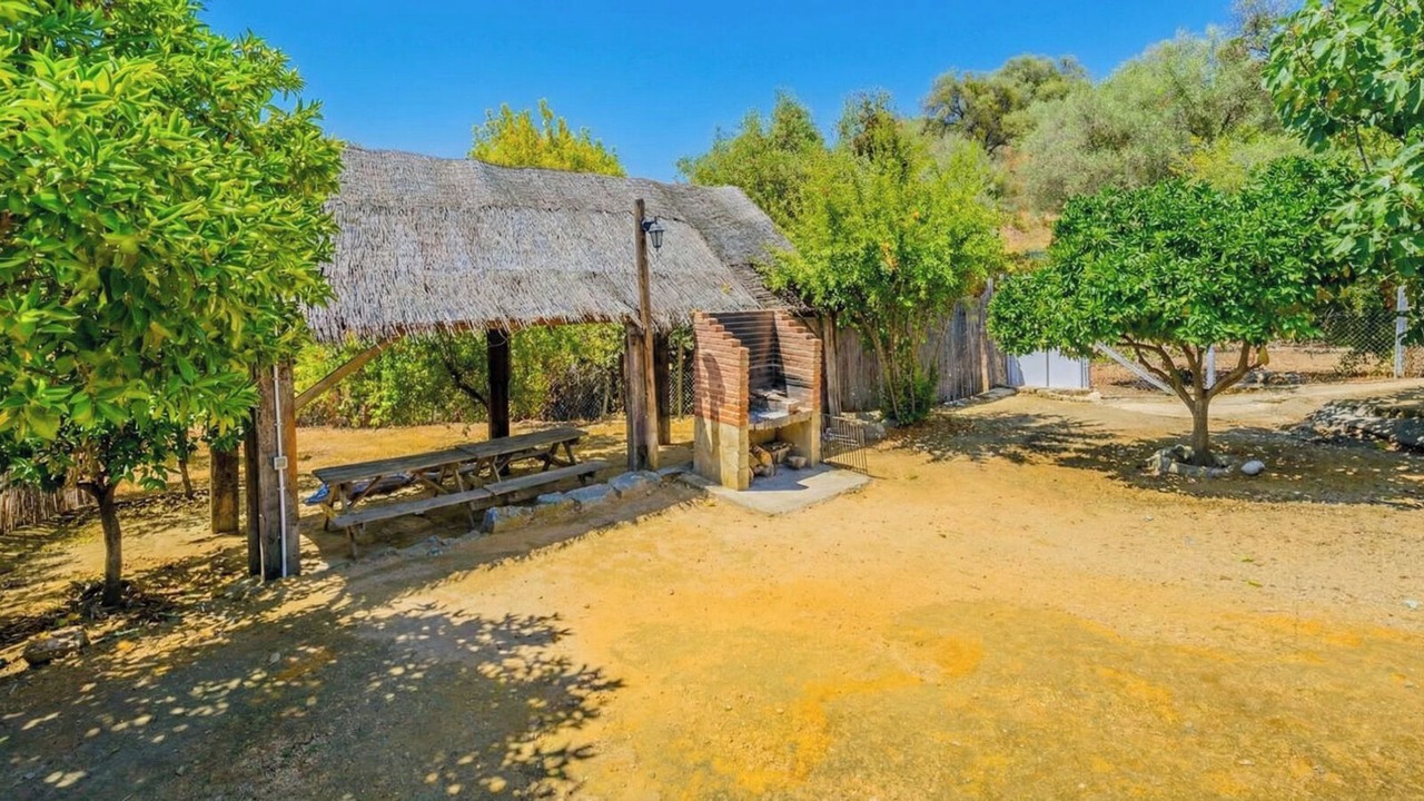 Photo of Outdoor in El Bosque
