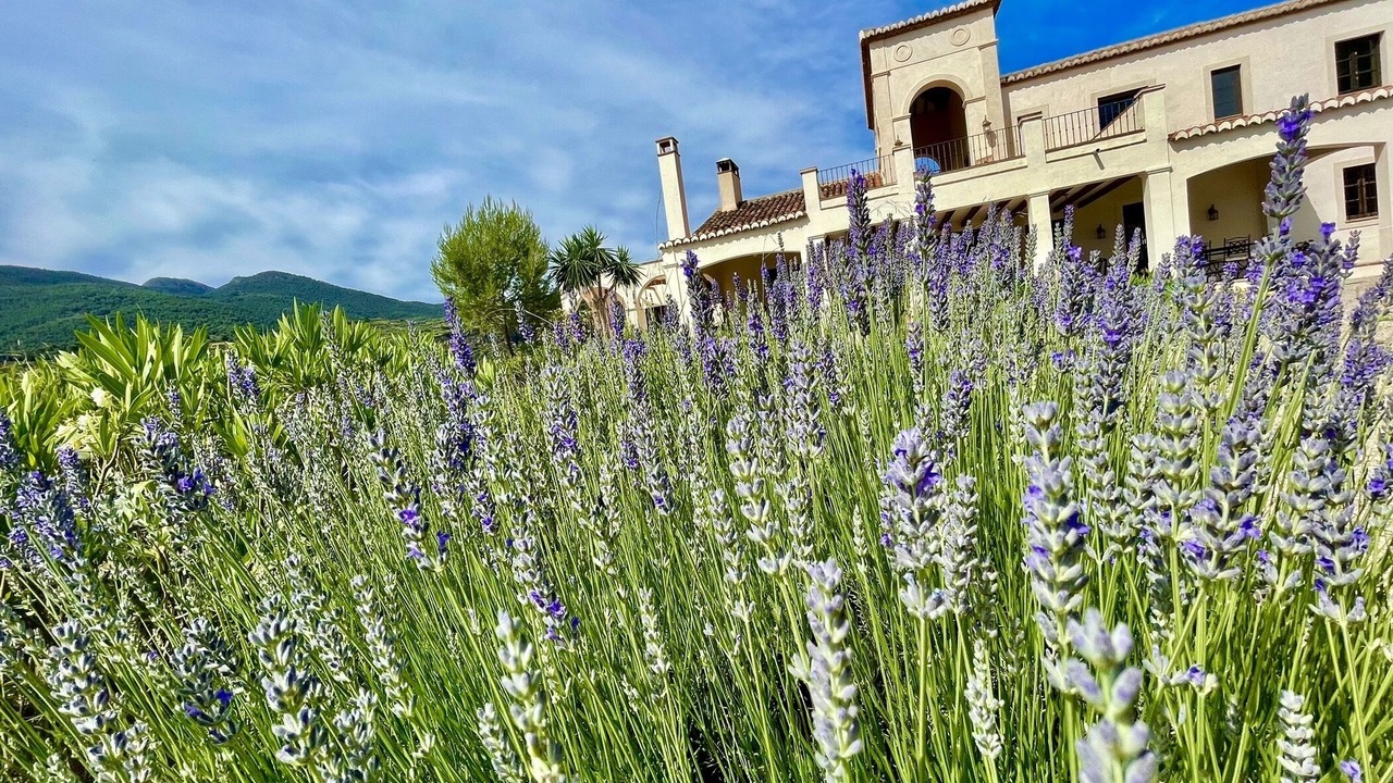 Photo of Outdoor in El Valle