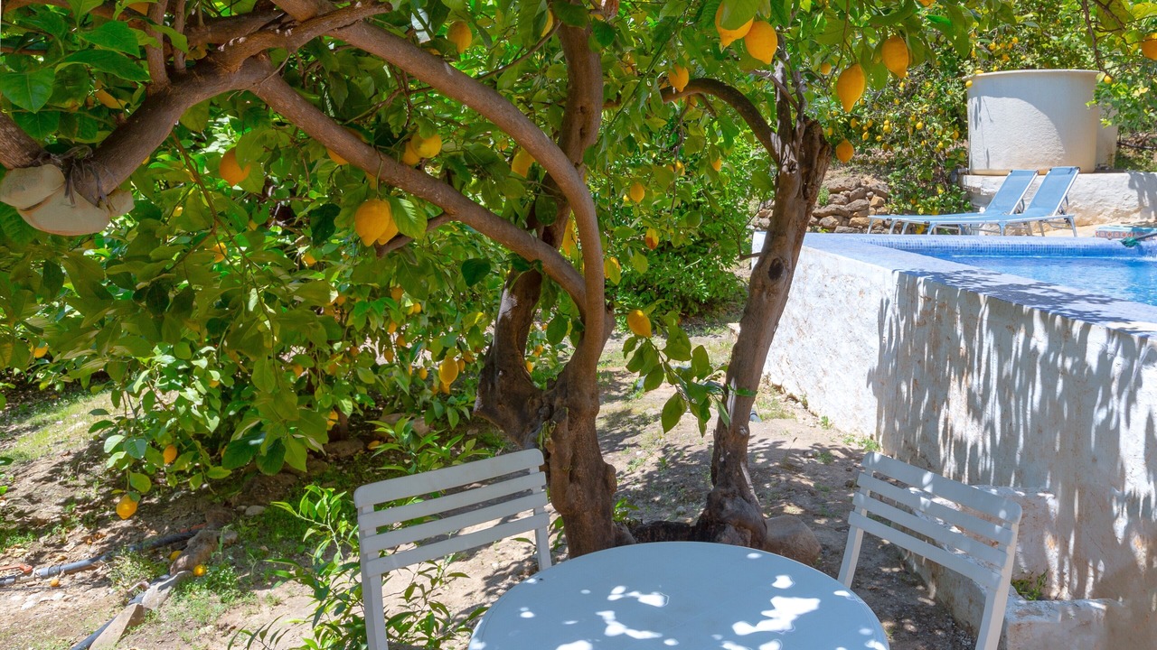 Photo of Outdoor in Alora