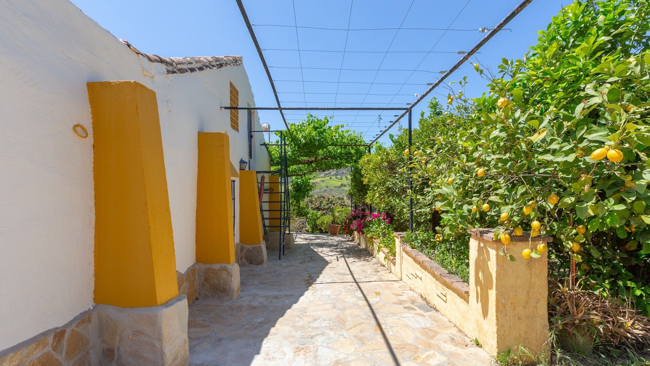 Photo of Outdoor in Alora