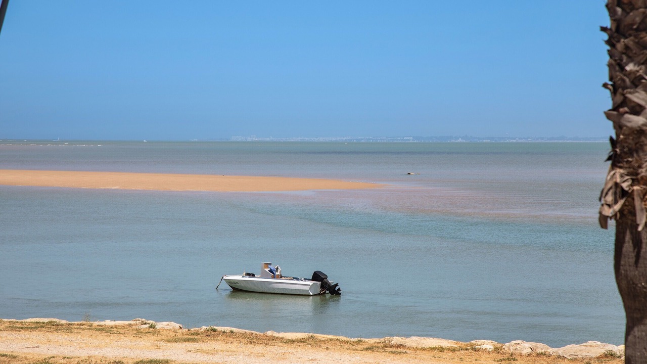 Photo of Others in Barriada del Rio San Pedro