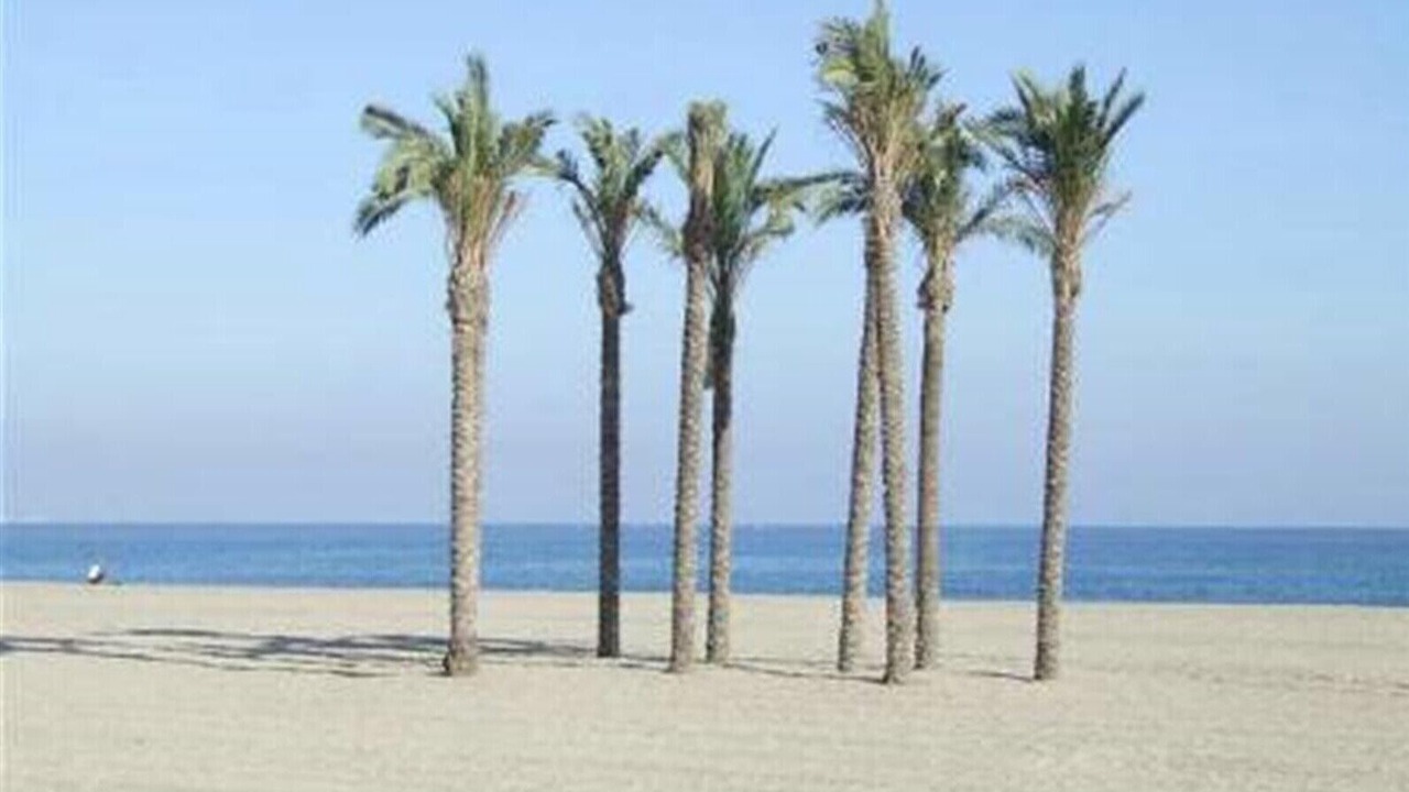 Photo of Others in Roquetas de Mar
