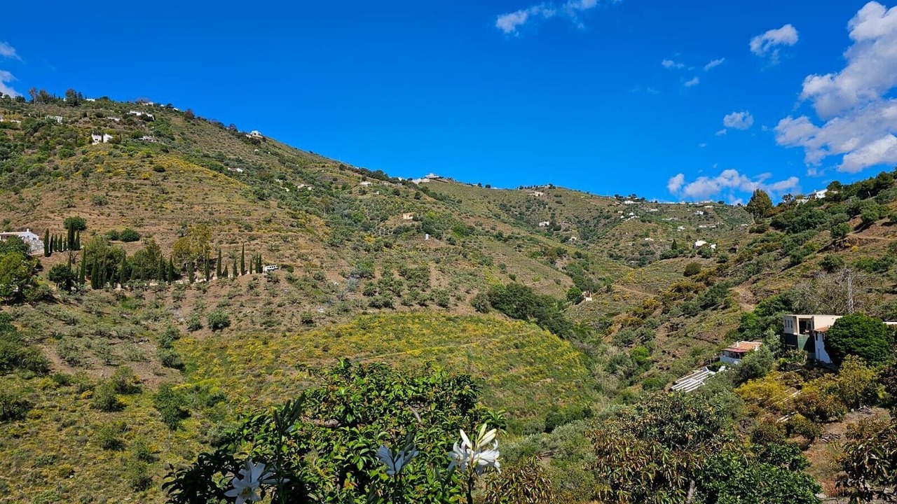 Photo of Others in Competa