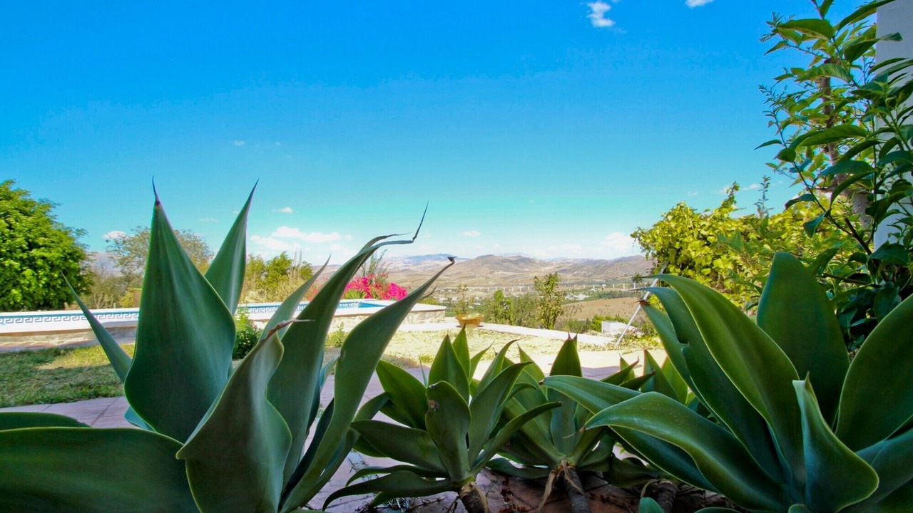 Photo of Outdoor in Alora