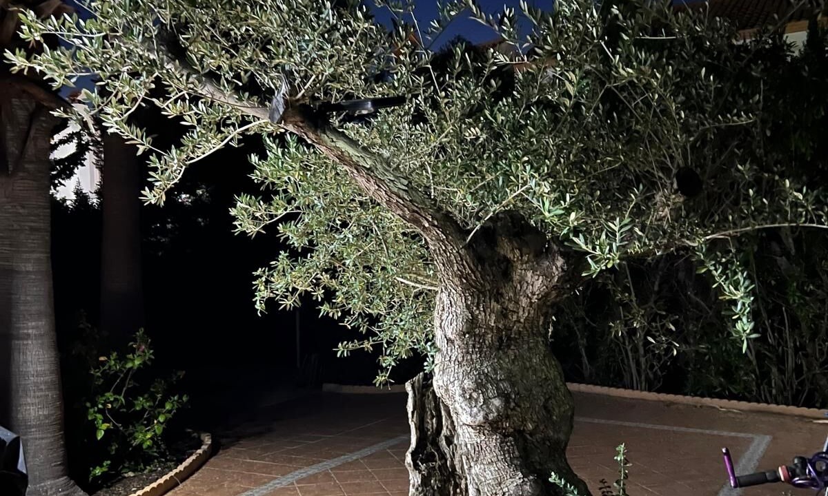 Photo of Outdoor in Ayamonte