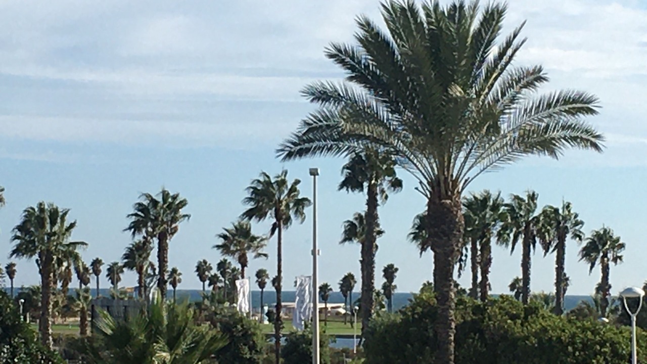 Photo of Outdoor in Chipiona