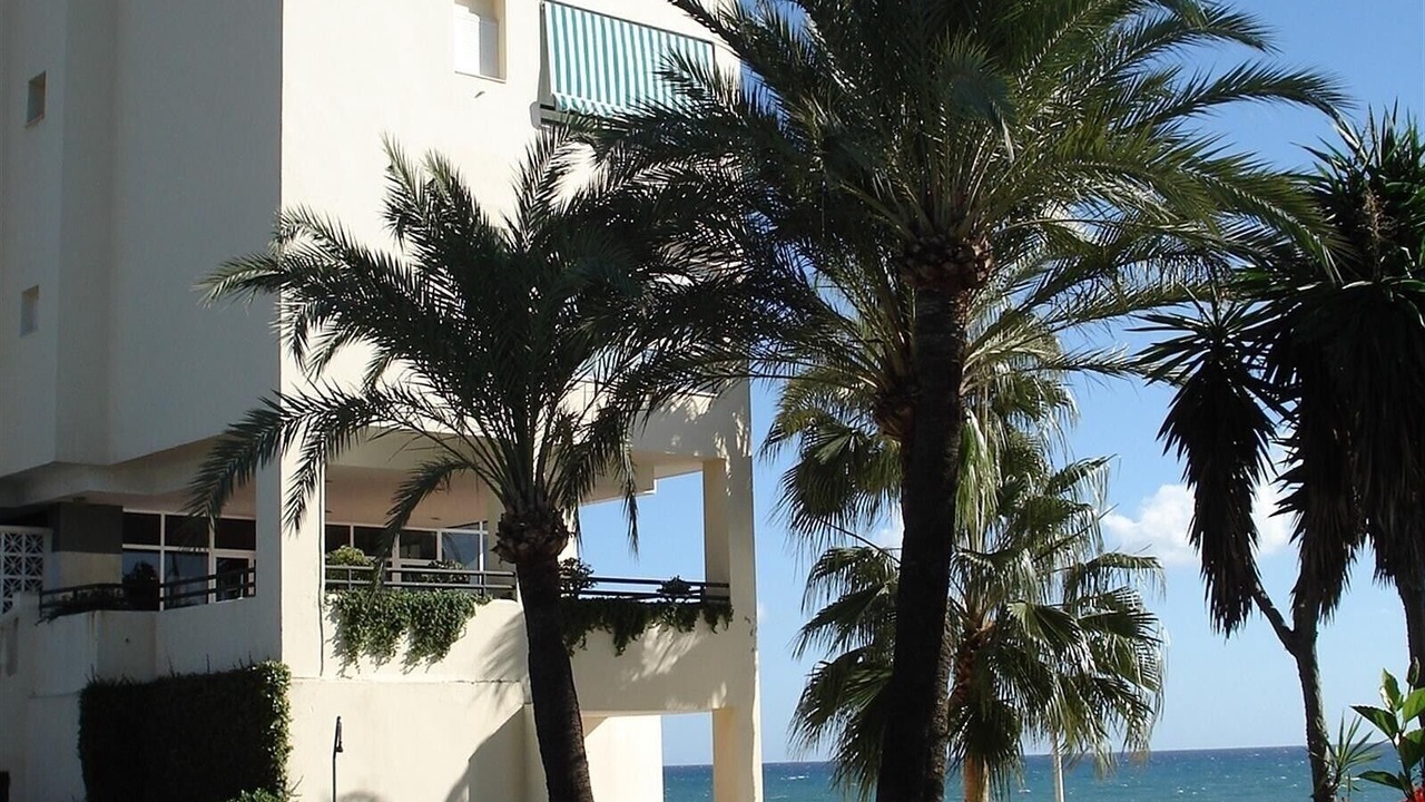 Photo of Outdoor in New Golden Mile