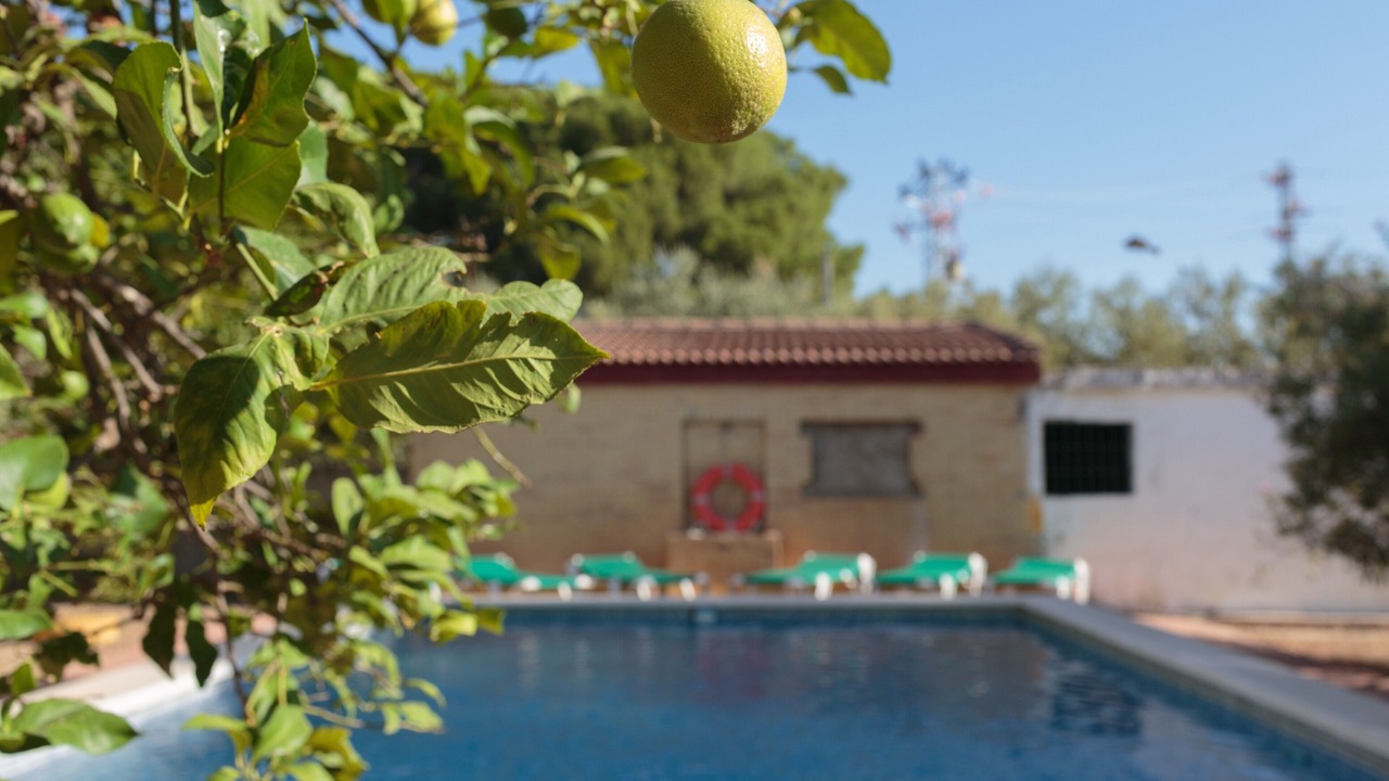 Photo of Outdoor in Marchena