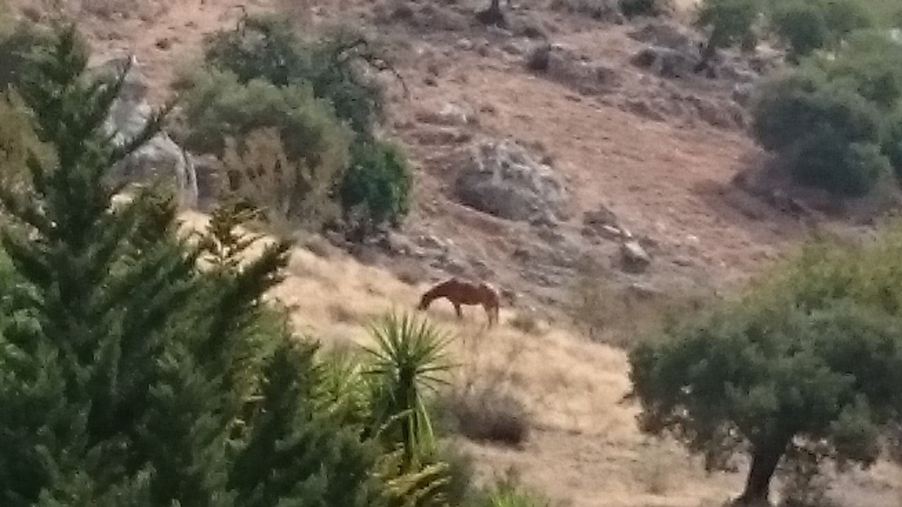 Photo of Others in Malaga-Este
